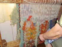 "Натура фест" свързва града с природата