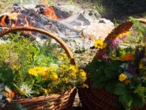 Докторът предписва лекарства, а лечителят лекува