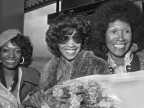 That’s a Plenty. Пойнтър систърс