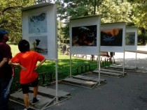 Изложба със снимки, посветени на дивата природа на Русия, може да бъде видяна в София