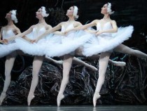 "Лебедово езеро" ще се играе във Видин в рамките на фестивала "Крепост на вековете – Баба Вида"