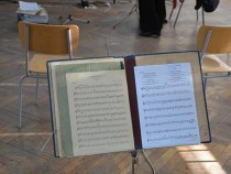 Музика в картини ще звучи във Флората