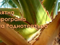 Съвременна българска драматургия след полунощ