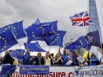 Твърдият Брекзит от митническия съюз ще засегне неблагоприятно 145 000 компании, търгуващи с ЕС