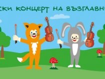 Камерен оркестър ще свири на Витоша в "Горски концерт на възглавници"