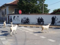 Старо Железаре – селото с артистична „добавена реалност“