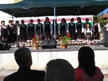 Село Царевец посреща над 400 участници във фолклорен фестивал