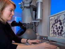 Станете учен за ден… или нощ