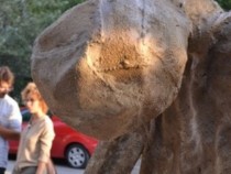 Стефан Джамбазов: На 30 септември ще направим празник на улицата