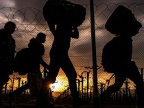 „Миграции на страха“ – изложбата за 23-то издание на Седмица на съвременното изкуство в Пловдив