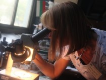 Образователни игри в музея "Земята и хората" през Седмицата на децата