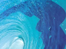 Бестселър, любим на Обама и Бил Гейтс, излезе на български език