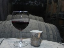 Галина Нифору: Настоящата година е трудна за винопроизводителите заради валежите