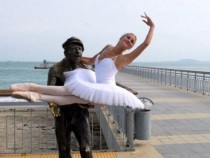 Филмите с Дюн на фестивала „Златна роза“