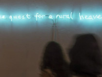 Гугутки кацнаха във Водната кула в София