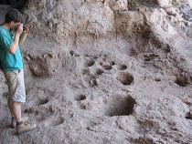 Учени смятат, че са открили най-старата пивоварна – на 13 000 години