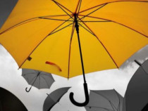 Сборникът с есета "Обречени на свобода" на Иван Кехлибарев