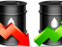 Саудитска Арабия желае задържане на цените на петрола между 70 и 80 долара за барел