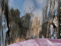 Аделина Попнеделева: Всеки художник неизменно рисува себе си