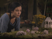 Галин Стоев: човешкото същество потенциално има нужда от нежност