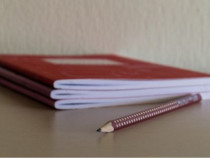 Да обикнеш езика като го изследваш