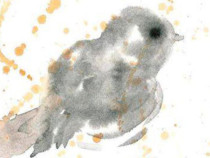 Излезе "Омара" – седмата поетична книга на Илиана Илиева