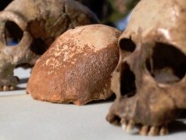 Археолози от 12 държави обсъждат праисторията в Гълъбово