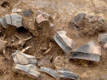 В село Каменово откриха кремъчни изделия, монети и погребения отпреди 6500 години