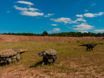 Шестото масово измиране на видовете