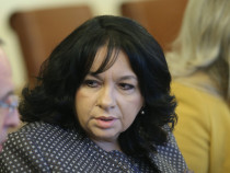 Теменужка Петкова: Губим по 125 млн. лева годишно с построяването на "Турски поток"