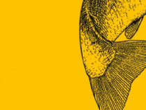 Умберто Еко и инструкциите за употреба на света