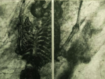 "Раят" на Горан Тричковски