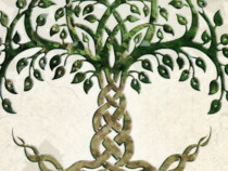 Проф. Мария Попова „За семиотиката“