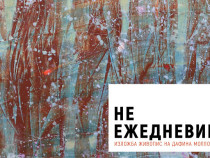 „Неежедневие“ на Дафина Моллова – в търсене на необикновеното в делничното