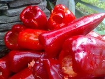 ДКСБТ: Краставиците и зелето са поскъпнали, но зелените чушки и морковите поевтиняват