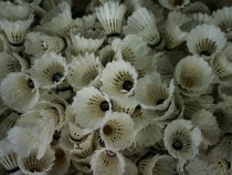 Турнирите по бадминтон започват през август