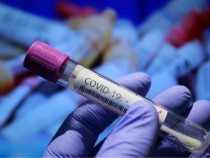 Още двама от Висшата лига с Covid-19