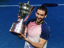 Чилич е шестият активен тенисист с поне 20 титли