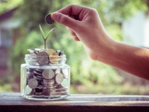 Тези растения у дома привличат парите като магнит СНИМКИ