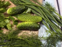 Тайната на перфектните кисели краставички е разгадана