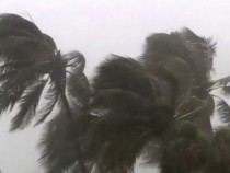 Уникално ВИДЕО запечата кошмара, предизвикан от урагана "Исая"