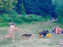 Глиган ограби безцеремонно нудист в Германия СНИМКИ 18+