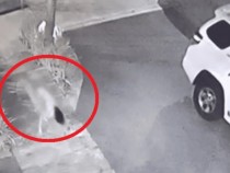 Шокиращо ВИДЕО 18+: Разгадаха тайната с чисто голото момиче, бягащо на 4 крака