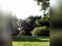 Момченце повтори акробатичния трик на майка си и покори мрежата