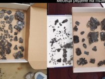 БГ учени сглобиха черупката на костенурка динозавър СНИМКИ