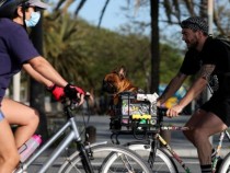 Кошмарът с К-19 в Испания продължава