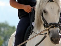 Виц за принца на бял кон ще ви спука от смях