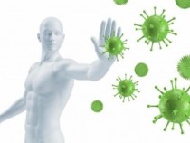 Стоп на вирусите! Имунната система е защитена с комбинация от цинк, селен, витамин D, витамин C