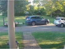 Учтиво колело звънна на вратата и изчака стопанина на тревата ВИДЕО