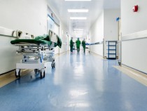 Акад. Петрунов заговори за фаза "истерия" при К-19 у нас съвсем скоро